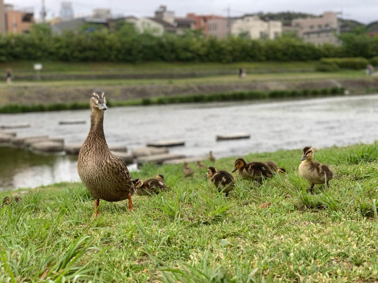 鴨川 栄の屋 Kamo River Machiya Halo House เกียวโต ภายนอก รูปภาพ