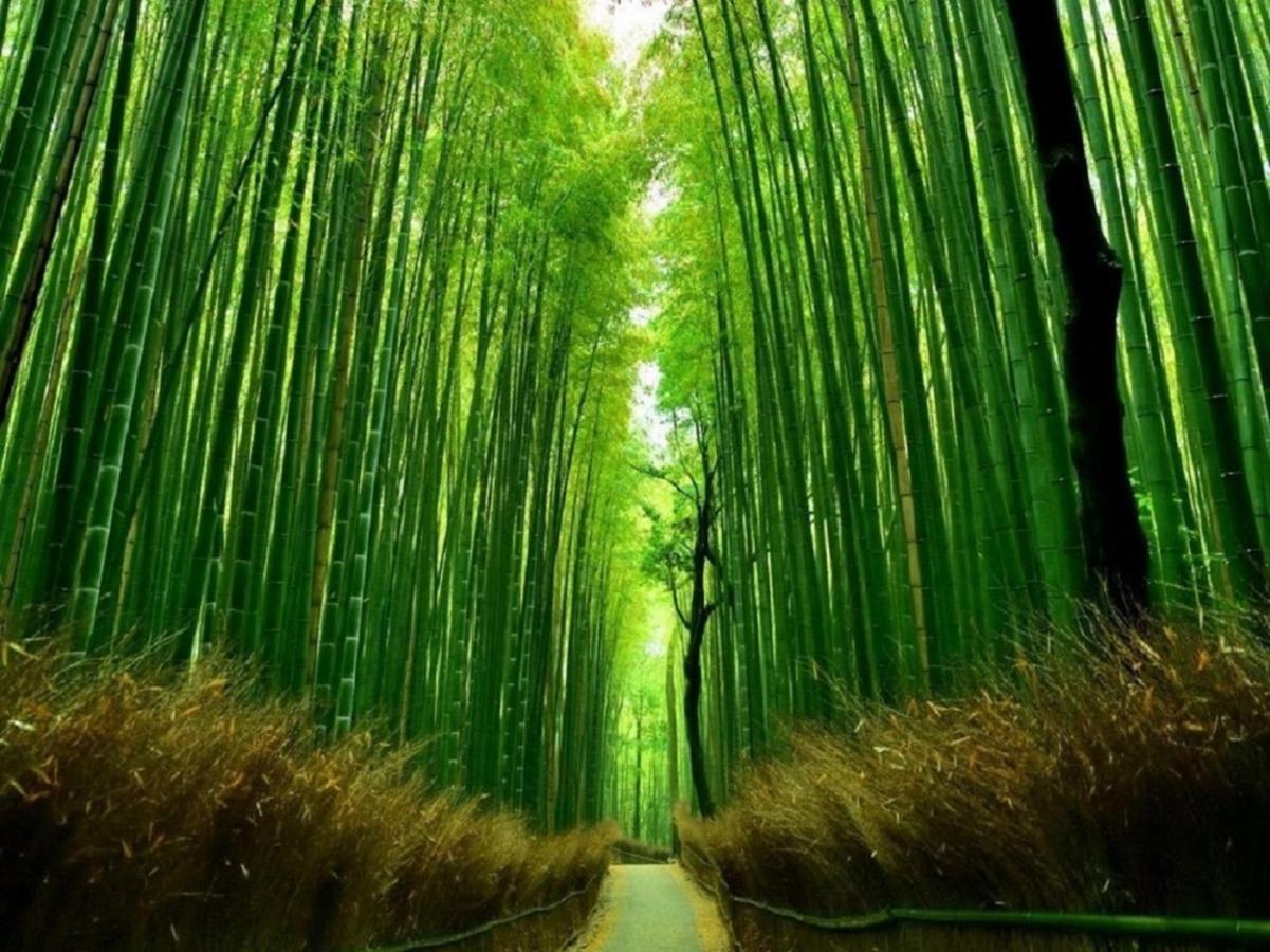 鴨川 栄の屋 Kamo River Machiya Halo House เกียวโต ภายนอก รูปภาพ